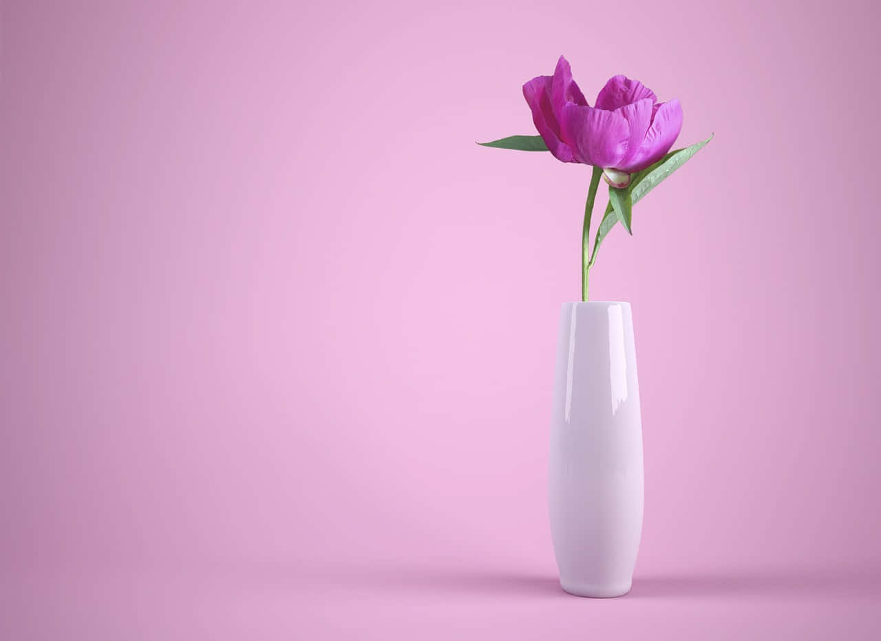 Single Peonyin White Vase Wallpaper