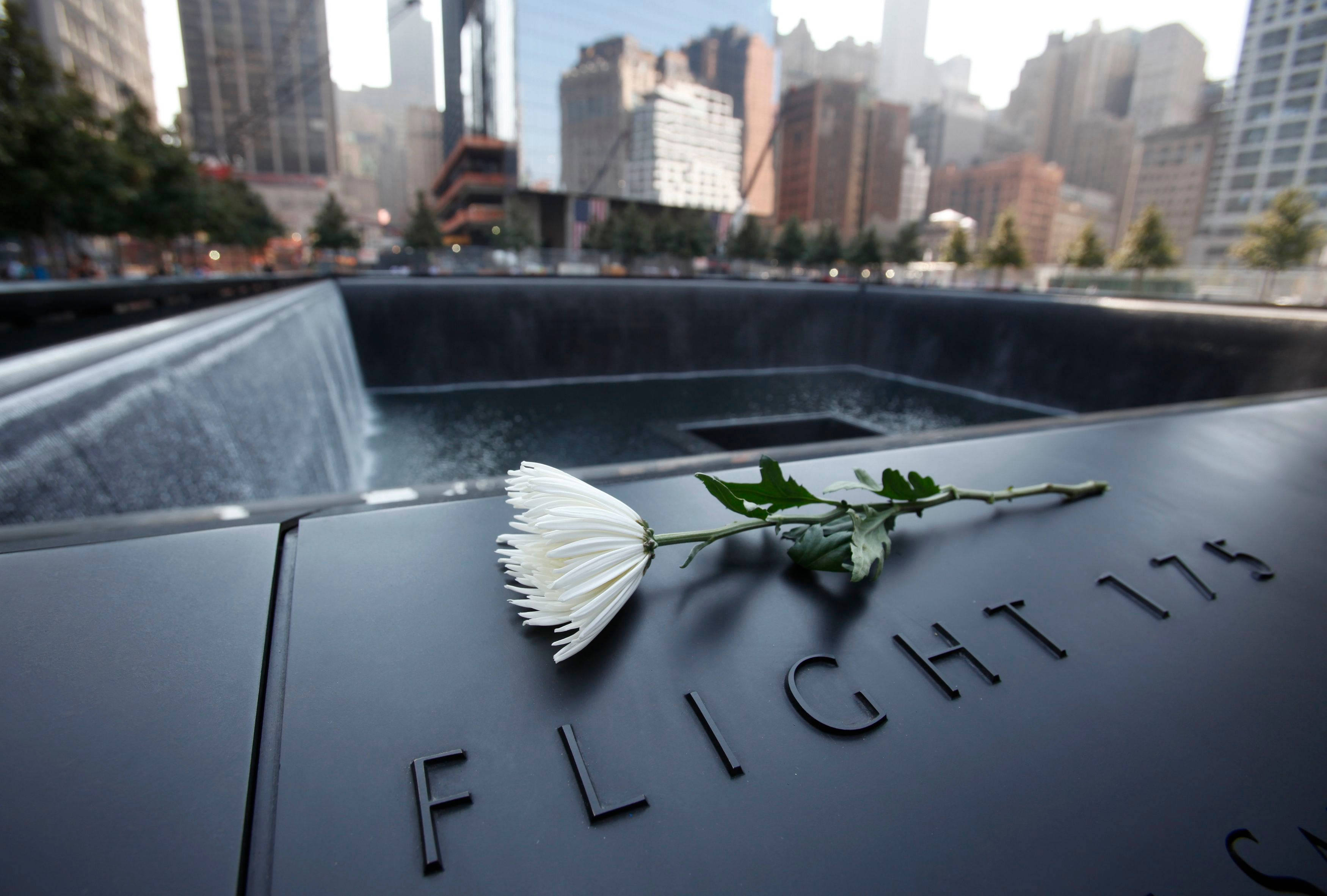 Single White Flower At 911 Memorial Wallpaper