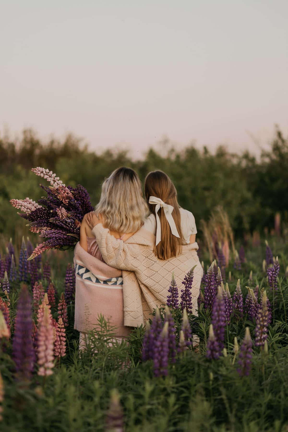 Sisters_ Embrace_ Amidst_ Lupines Wallpaper