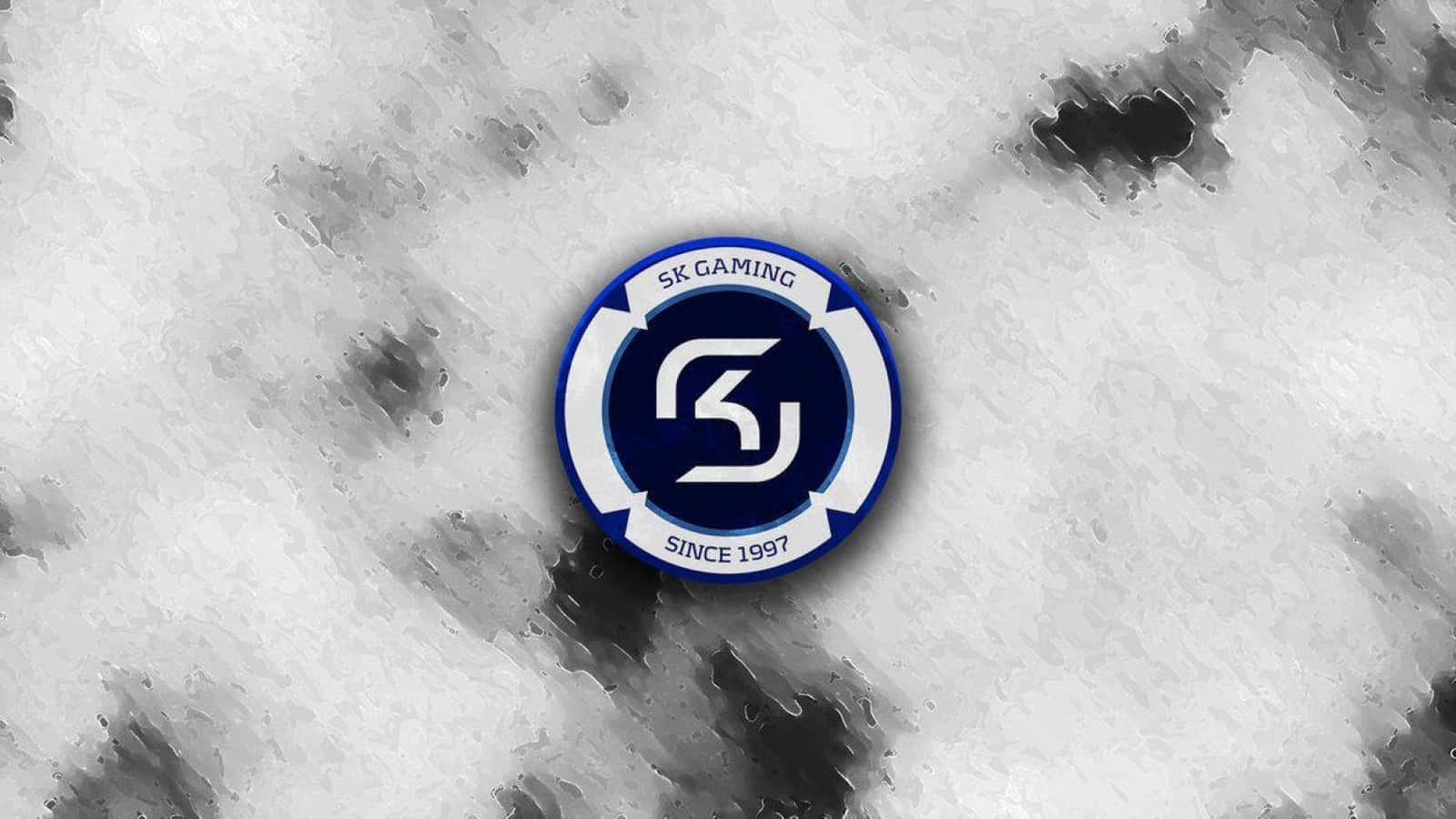 Sk Gaming In Action Wallpaper