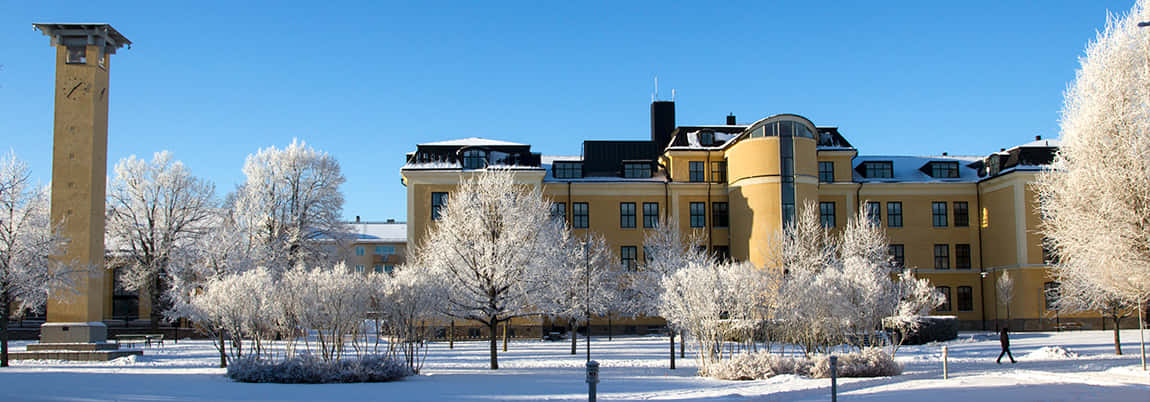 Skovde Sweden Winter Scenery Wallpaper