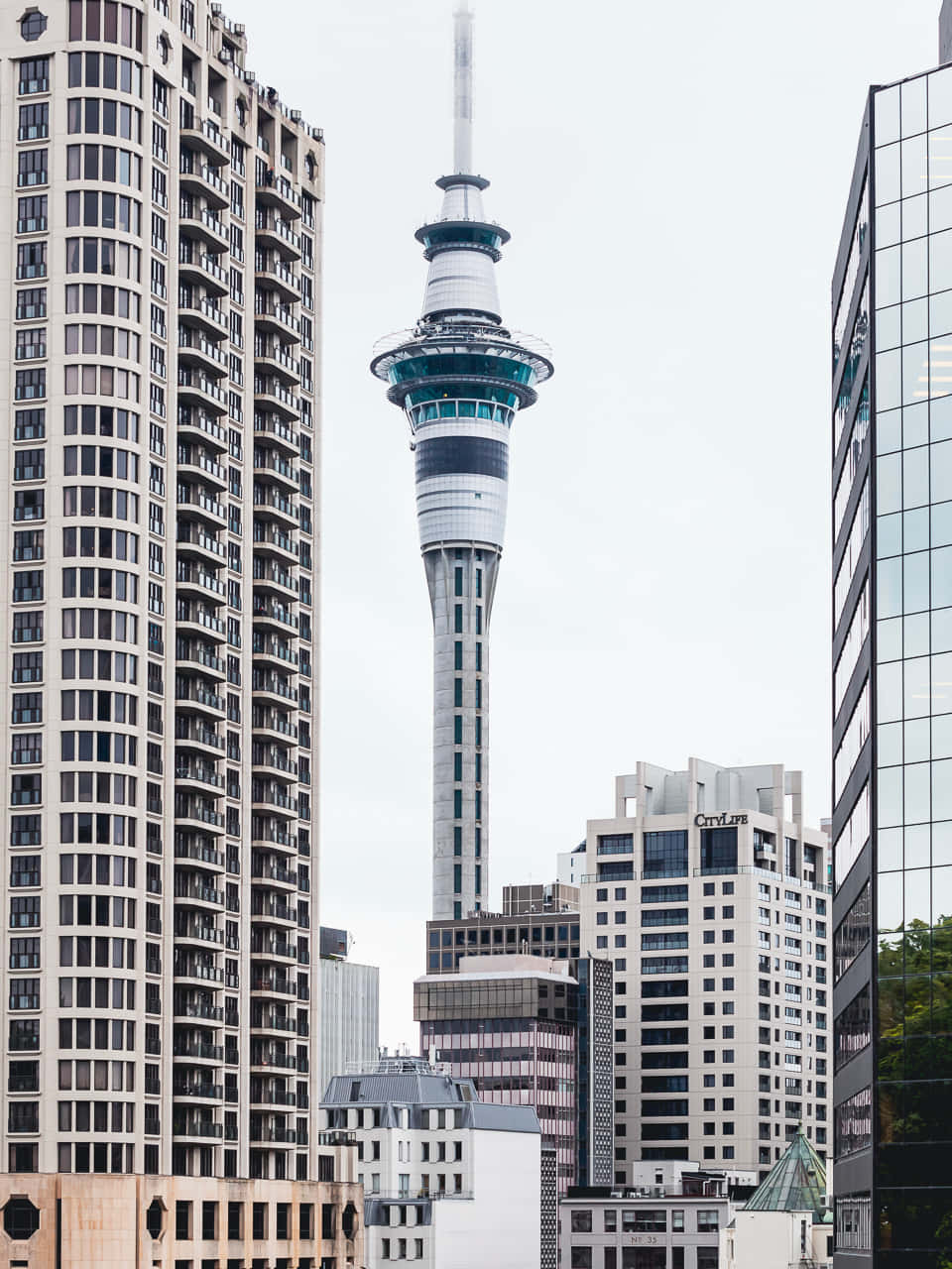 Sky Tower Auckland Amidst Buildings Wallpaper