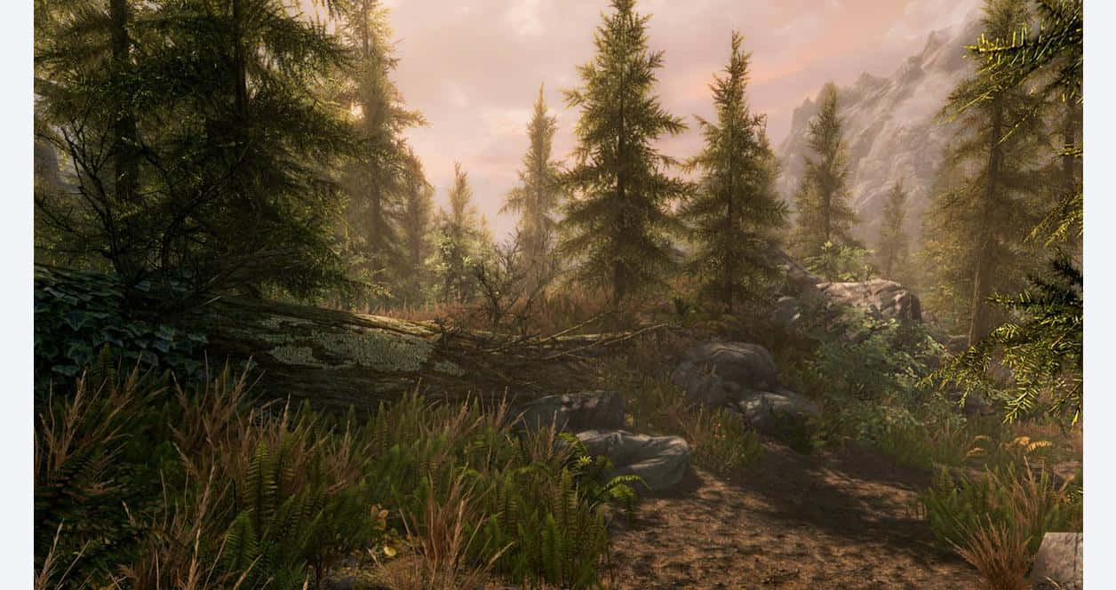 Skyrim S E_ Forest Path Sunrise Wallpaper