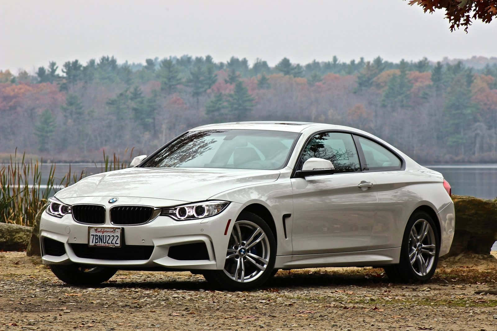 Sleek Bmw 4 Series Coupe In Motion Wallpaper