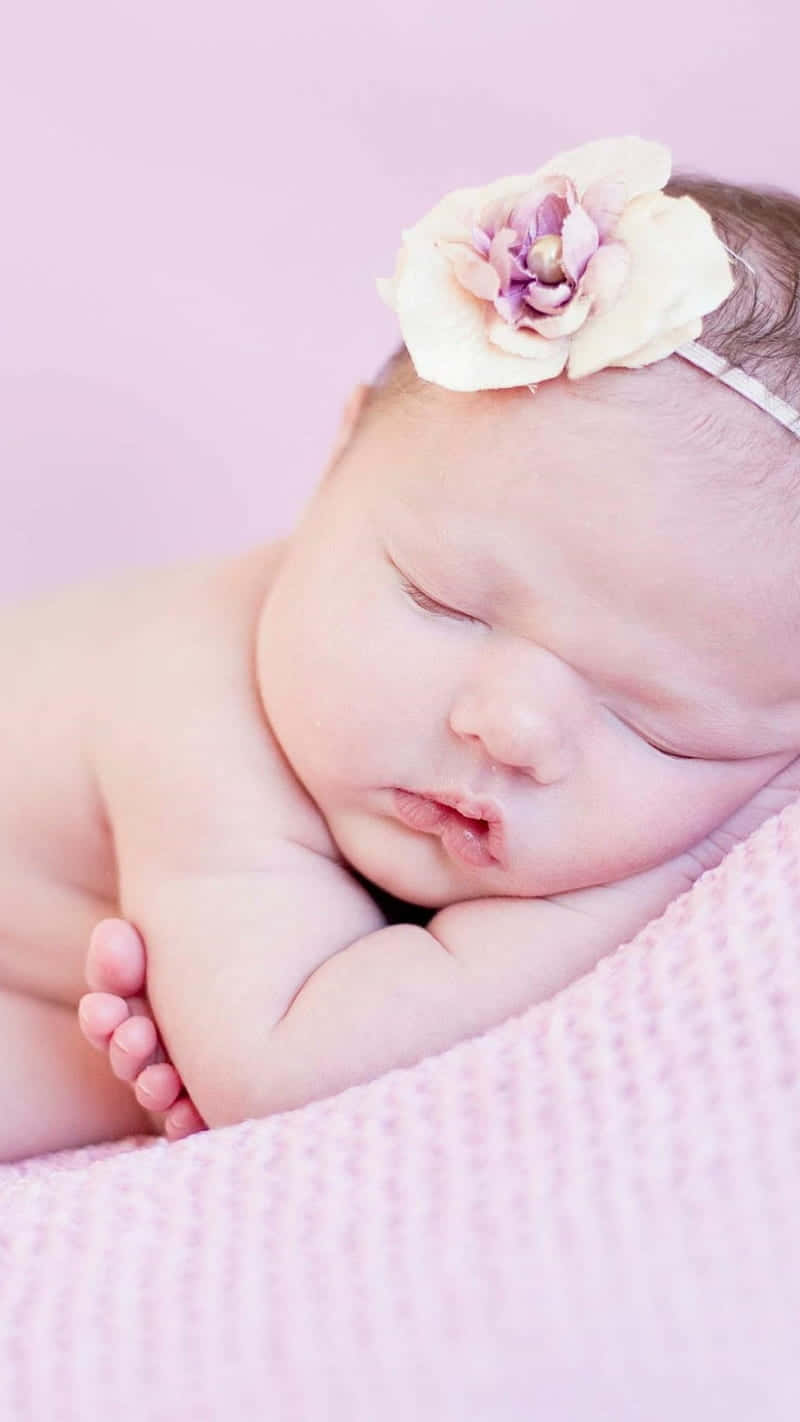 Sleeping Newborn Baby Pink Backdrop Wallpaper