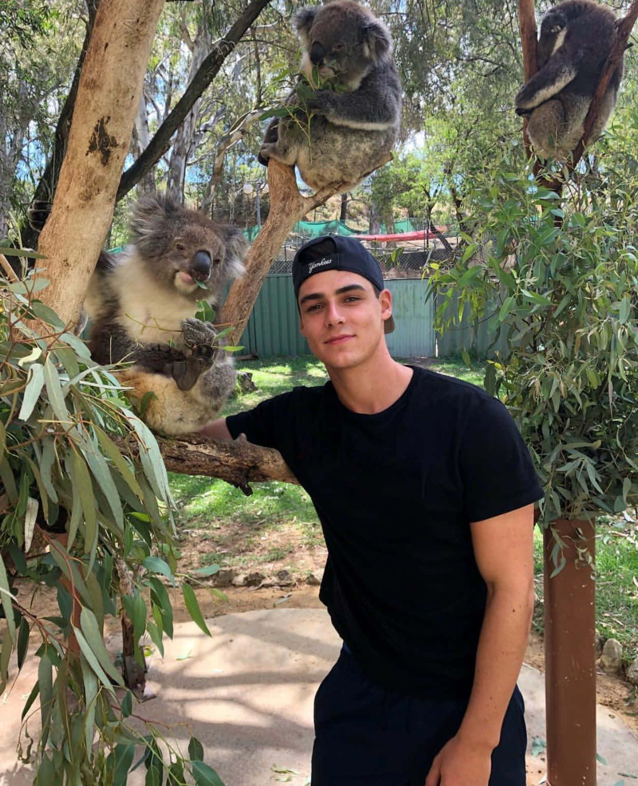 Smiling Boy With Koalas.jpg Wallpaper