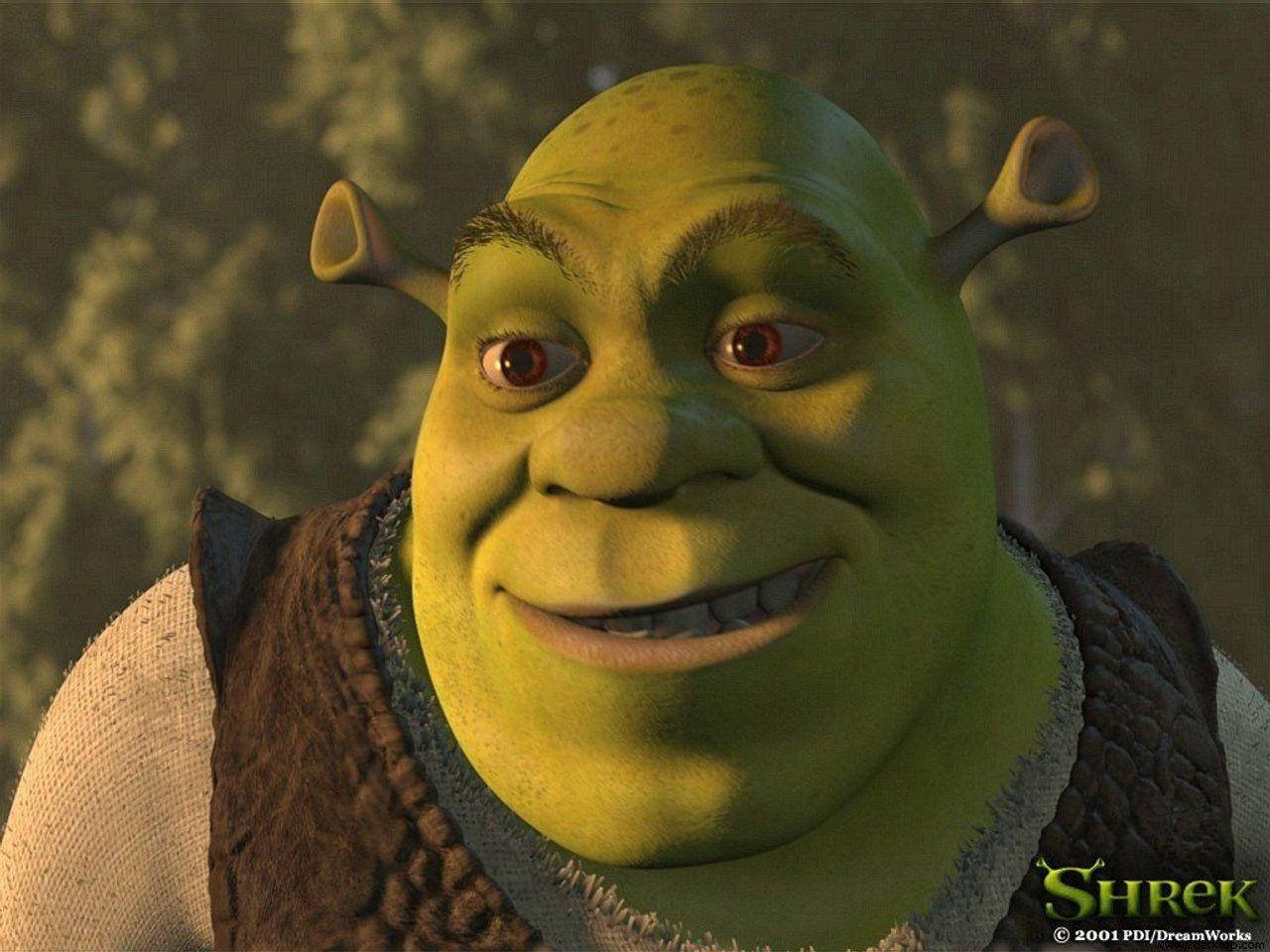 Smirking Shrek Pc Background Wallpaper