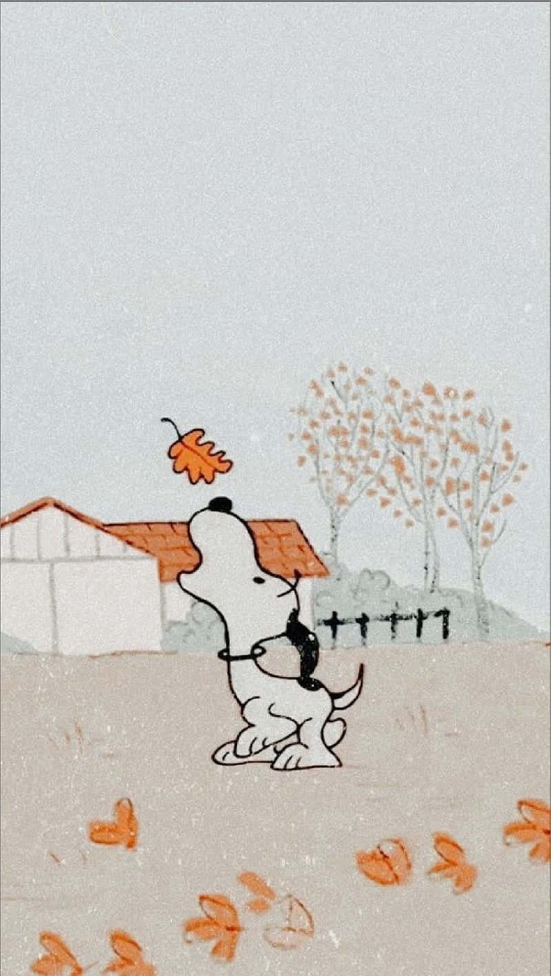 Snoopy Enjoying The Season Of Change Wallpaper