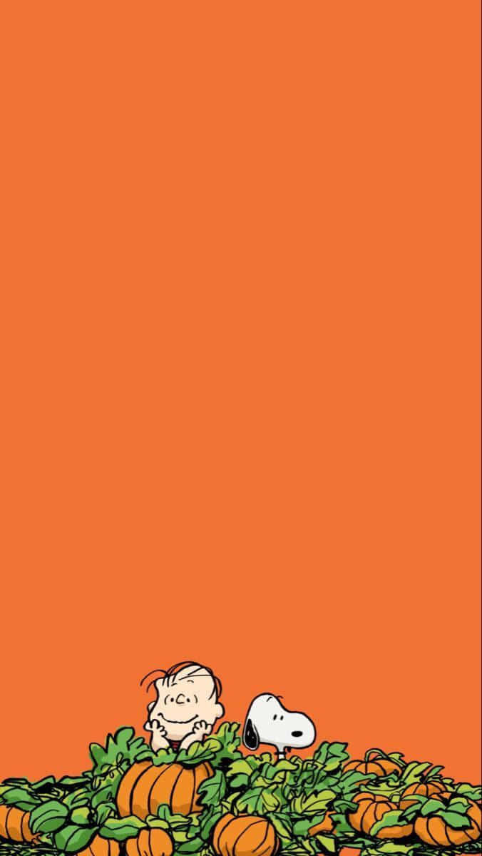 Snoopyand Charlie Brown Pumpkin Patchi Phone Wallpaper Wallpaper