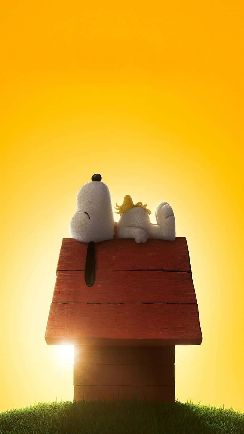 Snoopyand Woodstock Sunset Rooftop Wallpaper