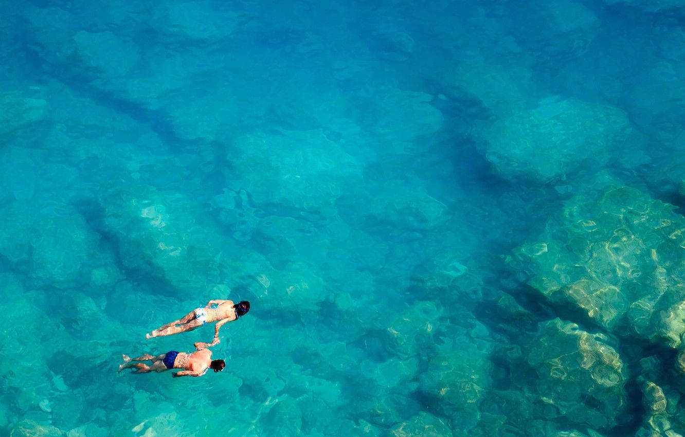 Snorkeling Aerial Shot Wallpaper