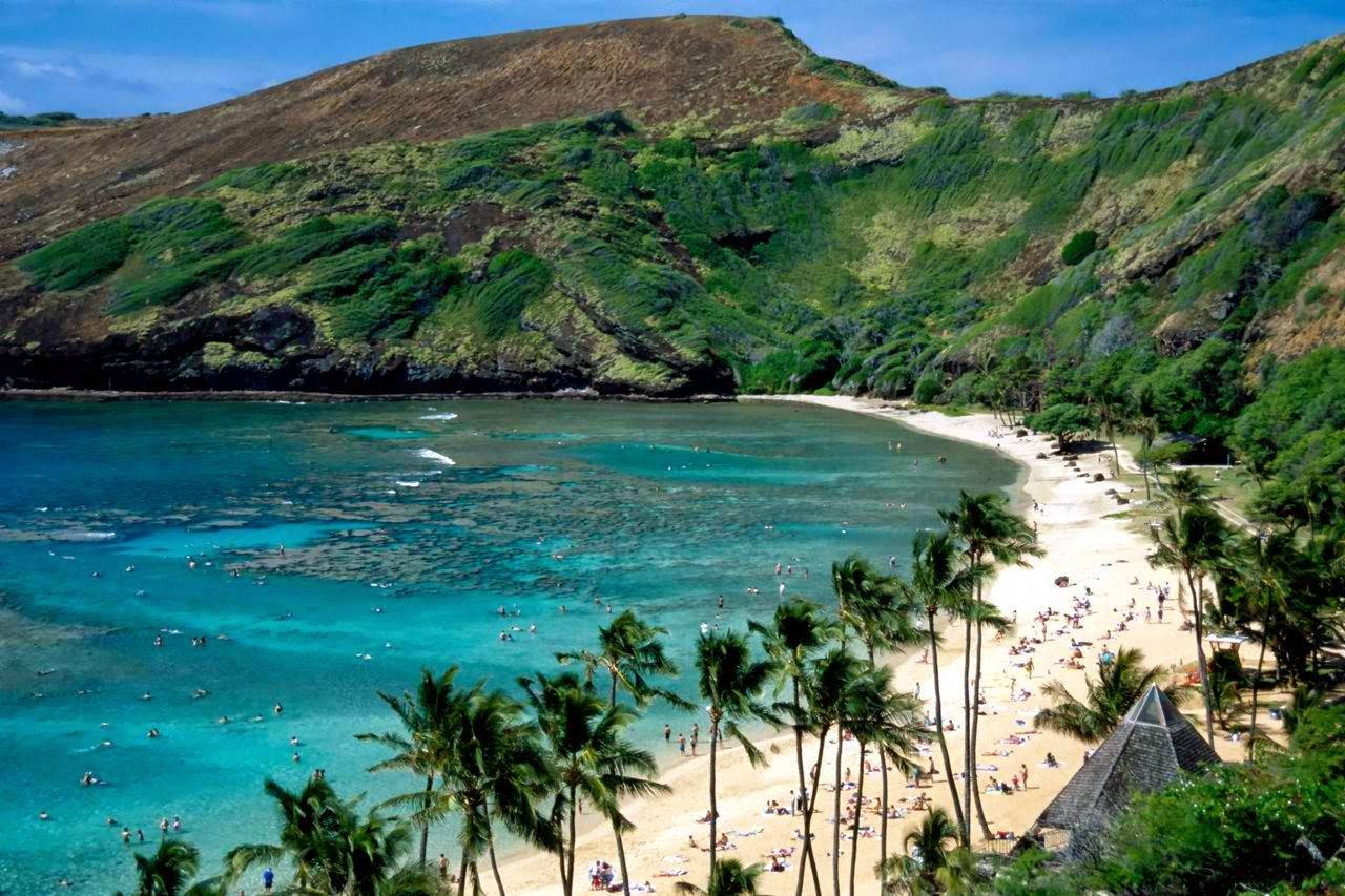 Snorkeling Hanauma Bay Wallpaper