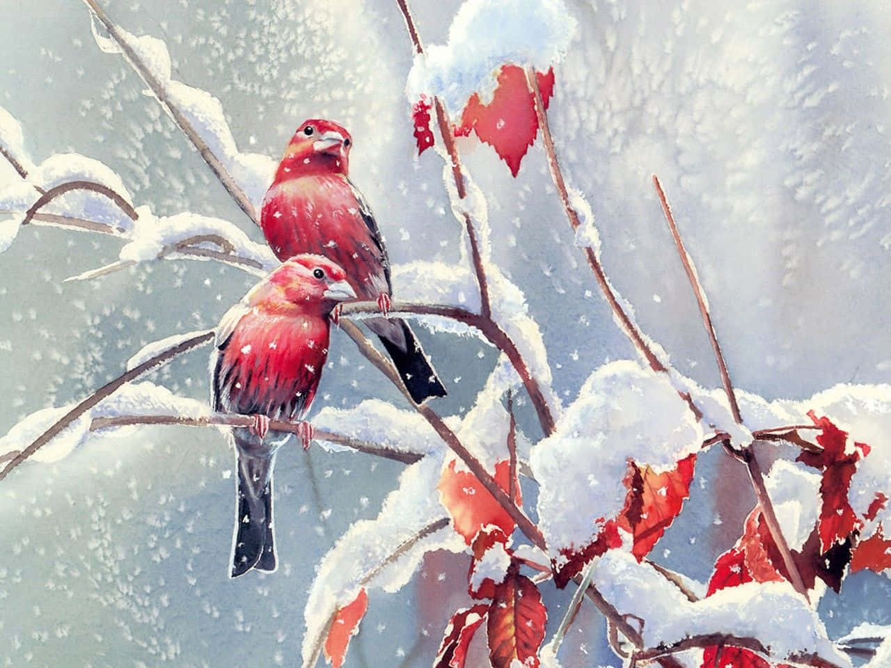 Snow Bird Relaxing On A Snowy Branch Wallpaper