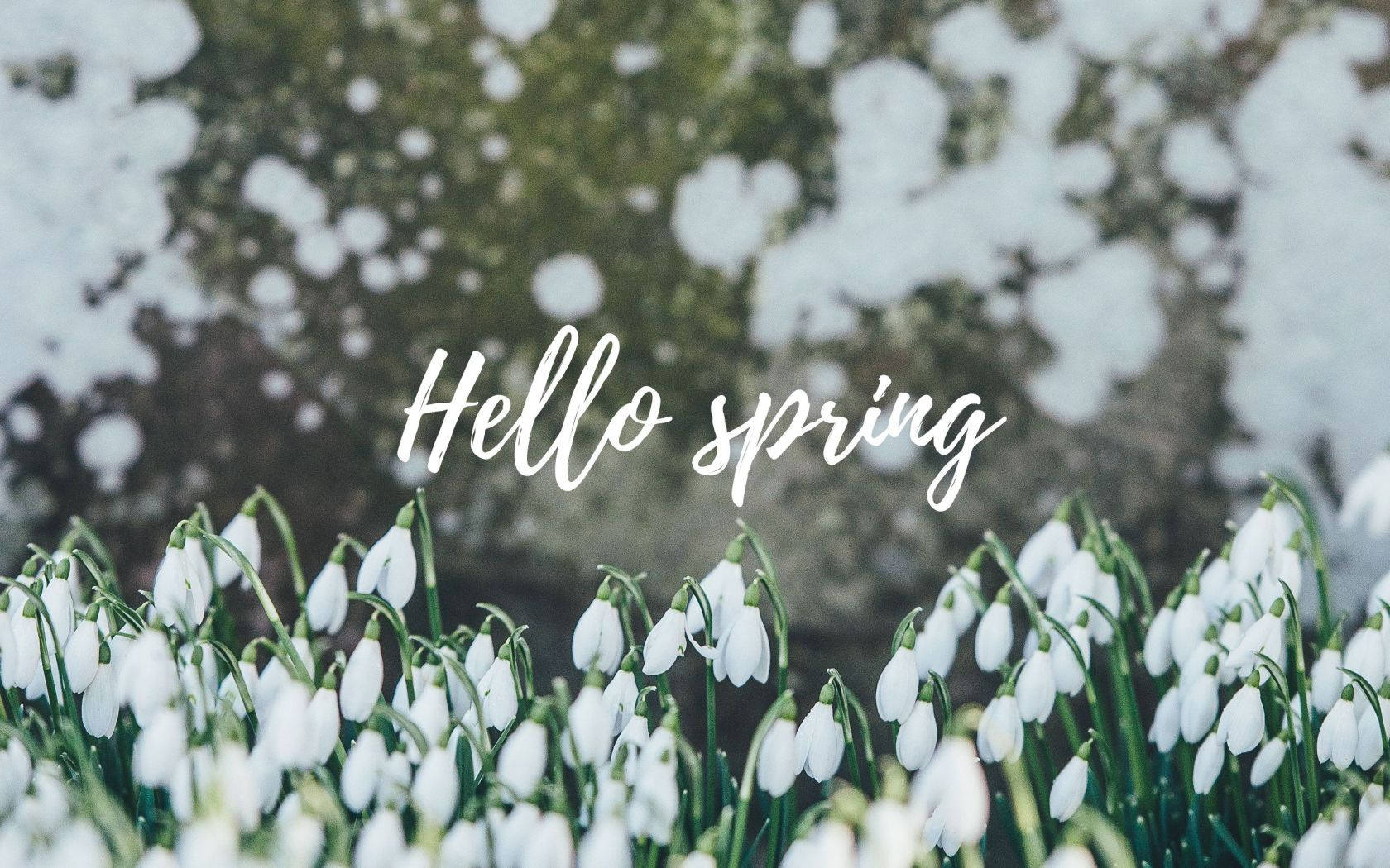 Snowdrop Spring Aesthetic Wallpaper