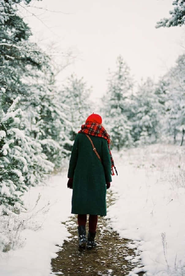 Snowshoes In Pristine Winter Landscape. Wallpaper