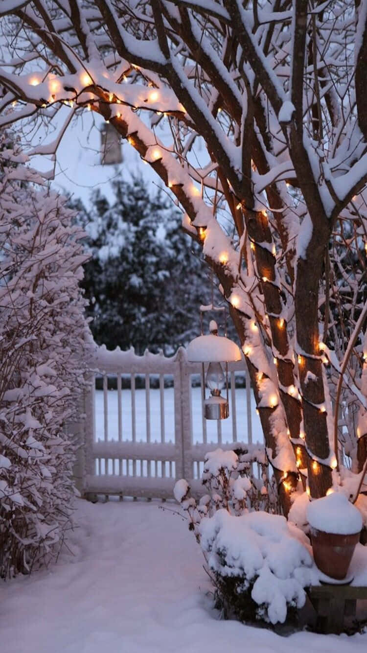 Snowy Gate Cozy Winter Tumblr Wallpaper