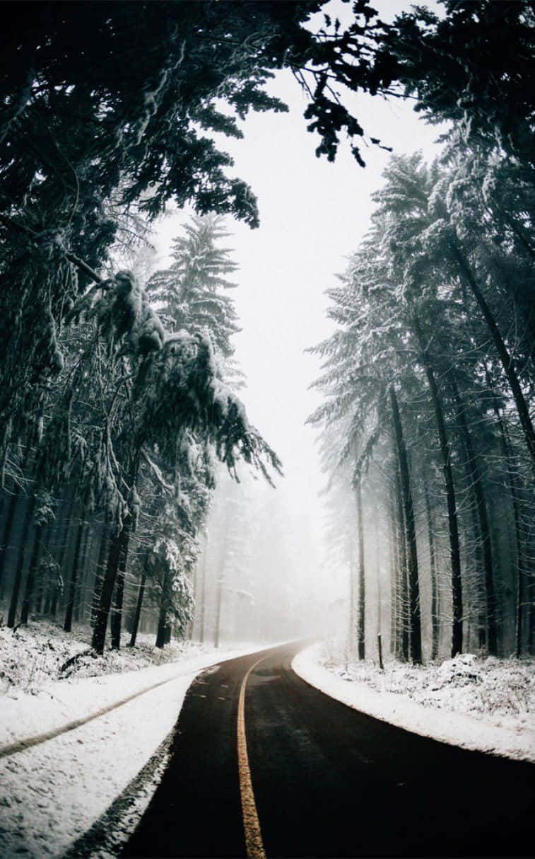 Snowy Icy Road During Winter Season Wallpaper