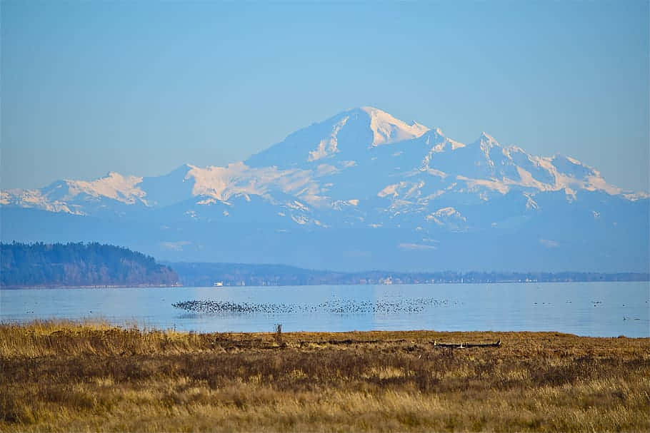 Snowy_ Mountain_ View_ Across_ Waterbody Wallpaper