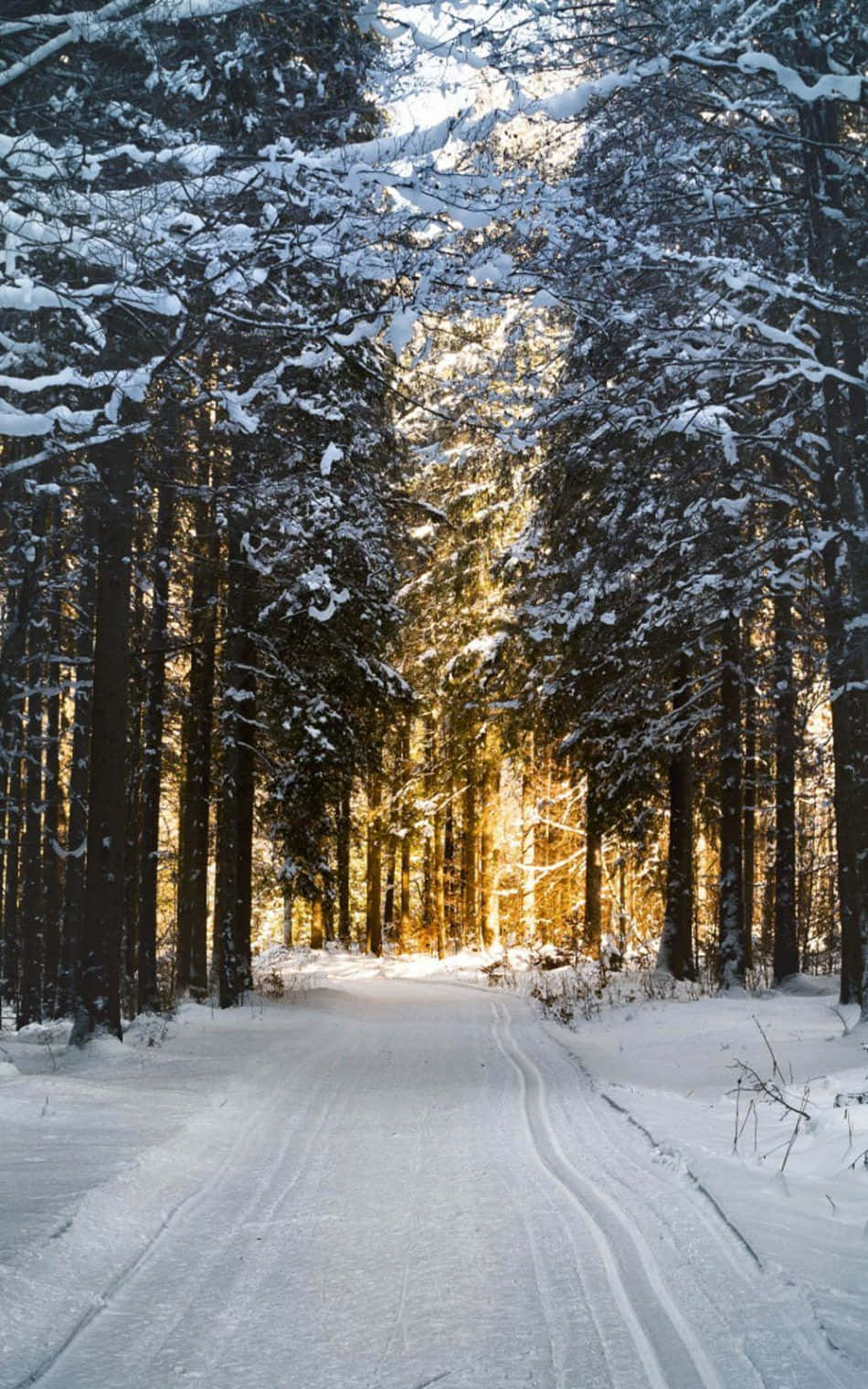 Snowy Road Amidst A Winter Landscape Wallpaper