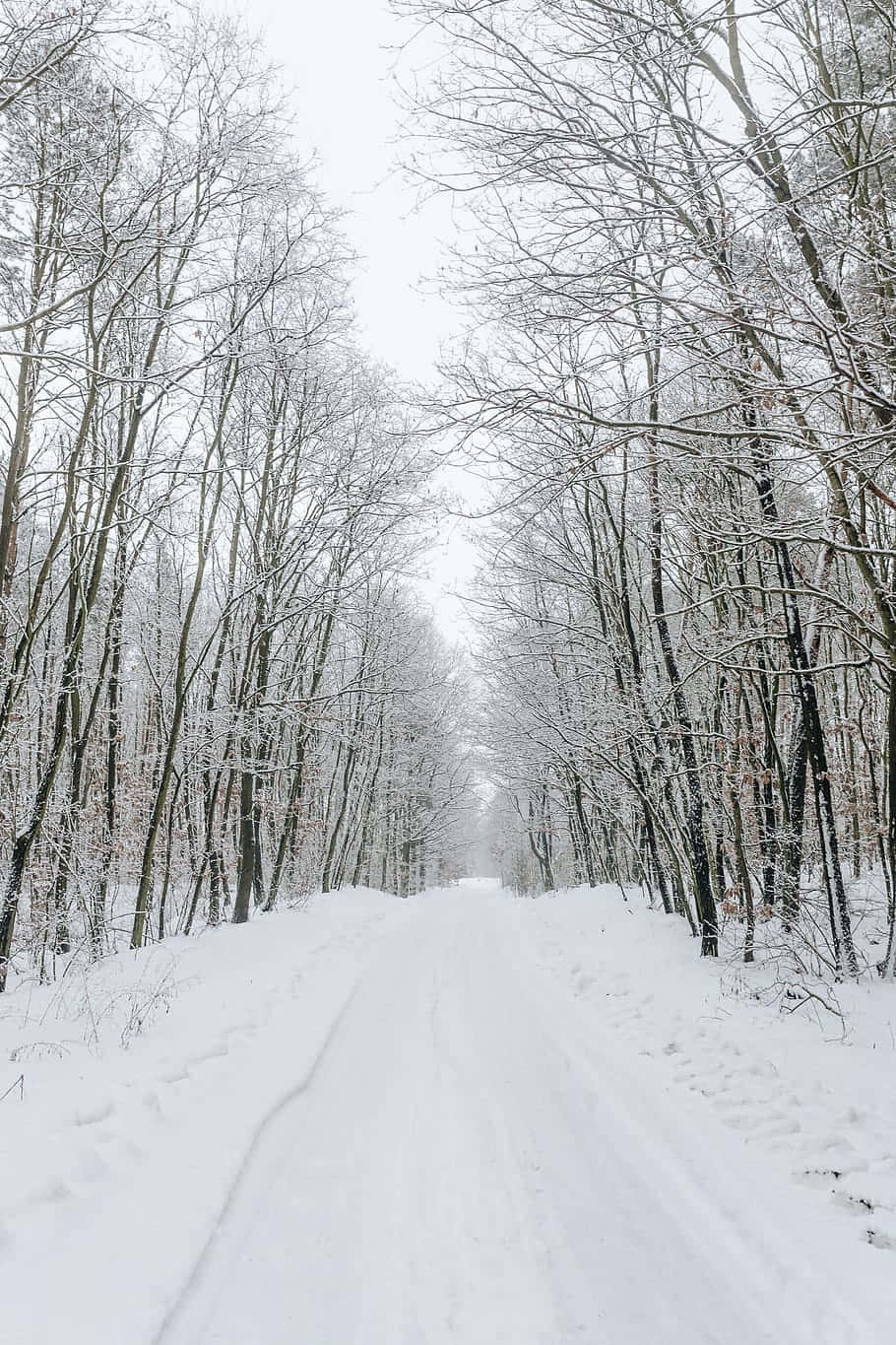 Snowy Road Through A Scenic Winter Wonderland Wallpaper