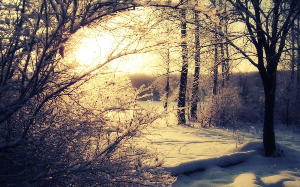 Snowy Sunrise Nature Wallpaper