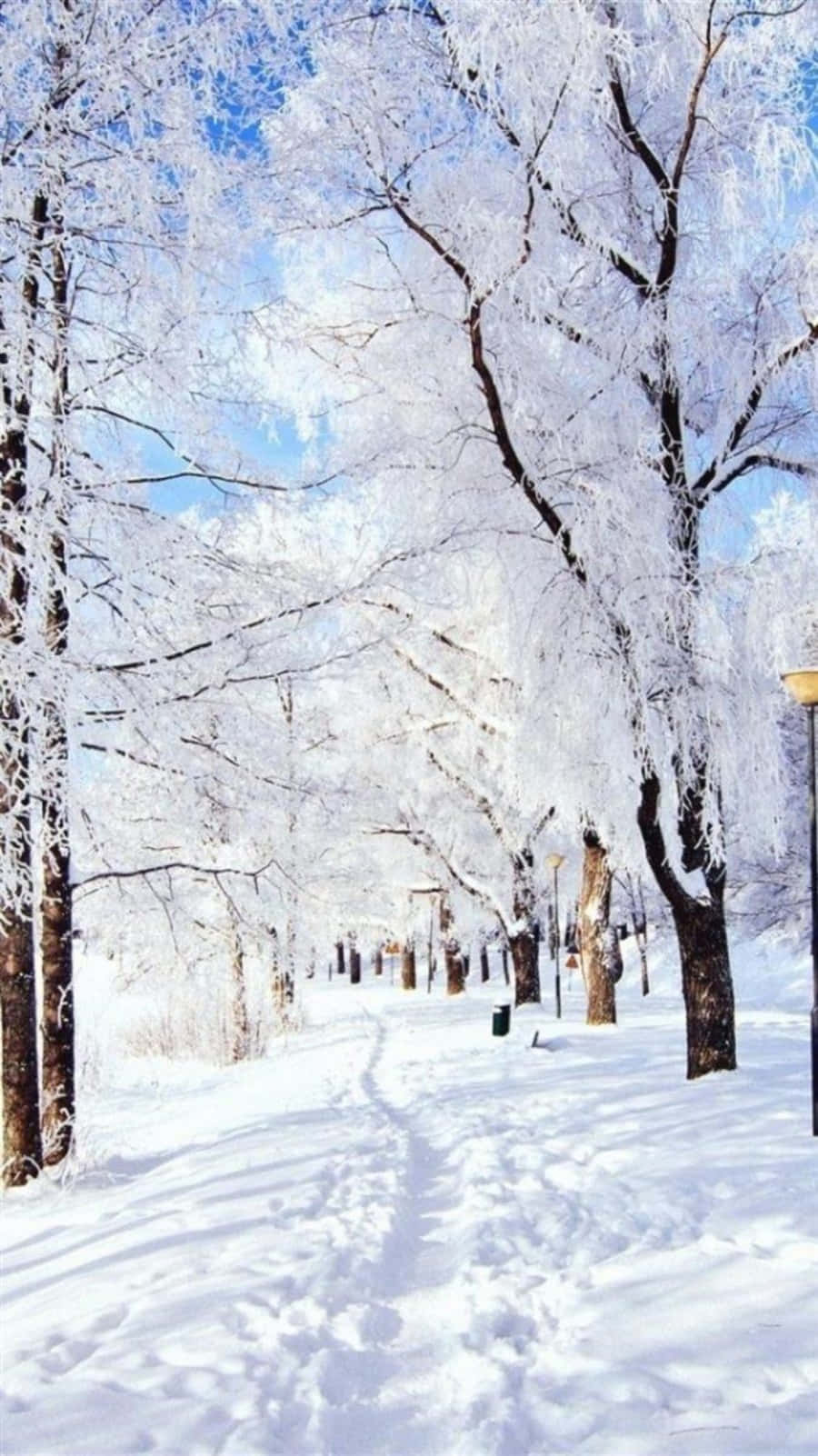 Snowy Trees And Mountain View At Winter Wallpaper