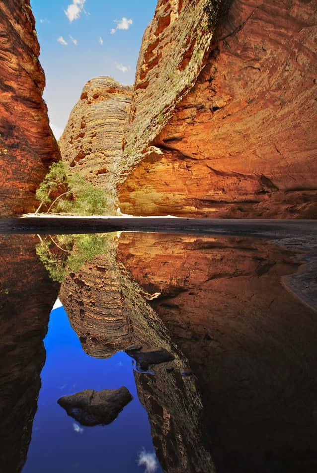 Soaking Up The Tranquil Beauty At Blue Mountains National Park Wallpaper