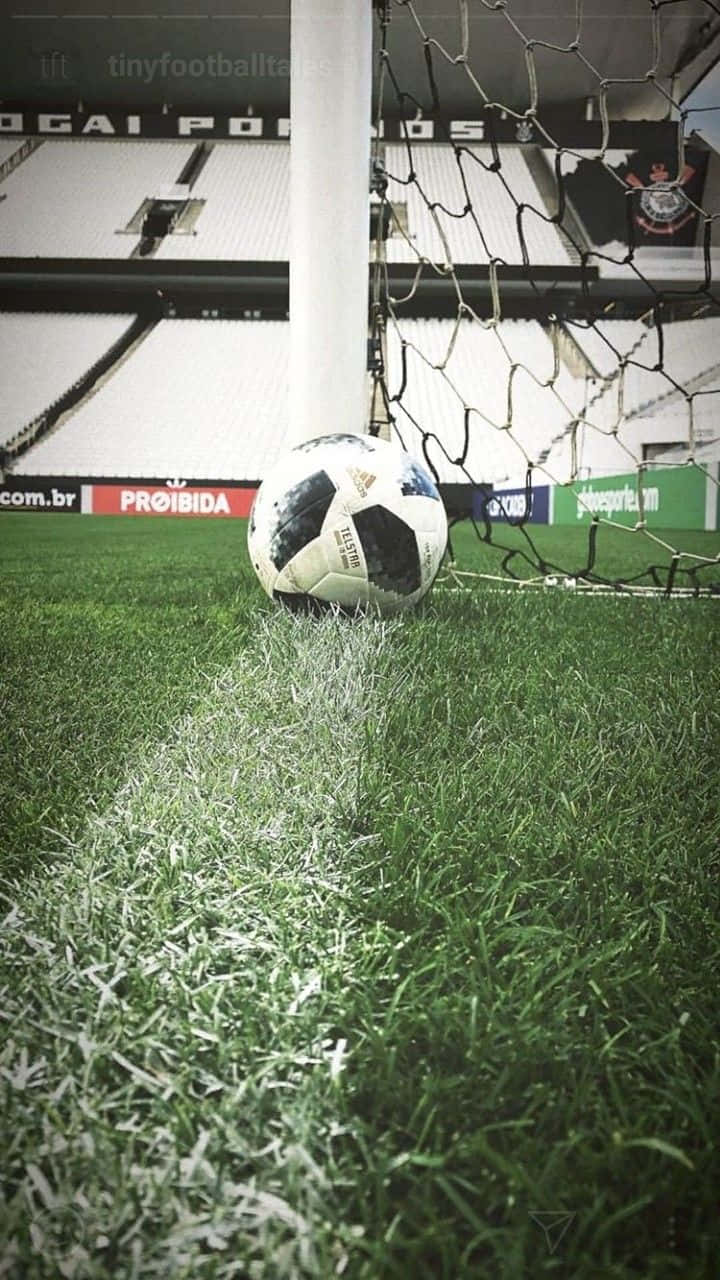 Soccer Ball Goal Line Stadium Backdrop Wallpaper