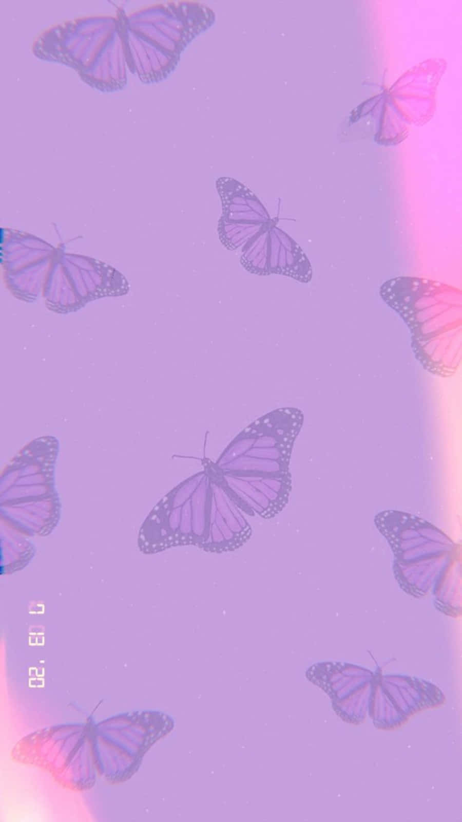 Soft And Sweet Light Purple Wallpaper