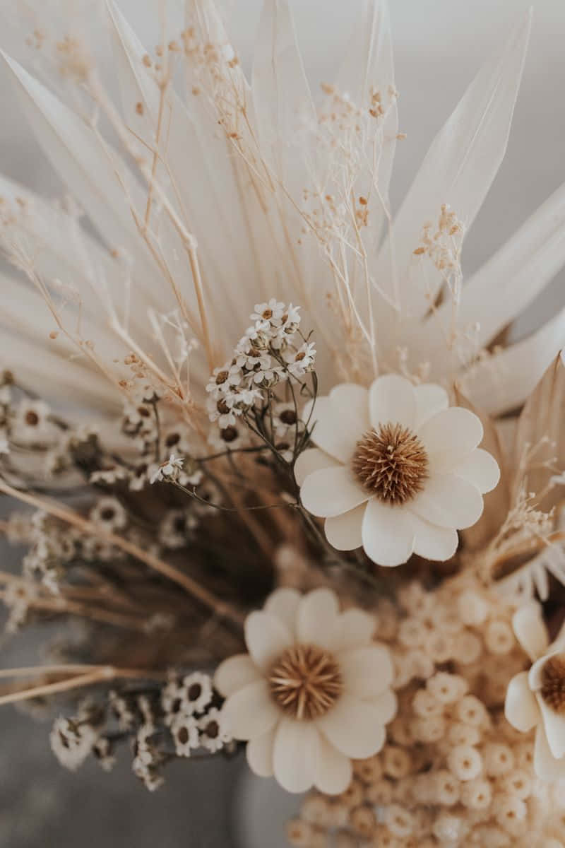 Soft Beige Floral Arrangement.jpg Wallpaper