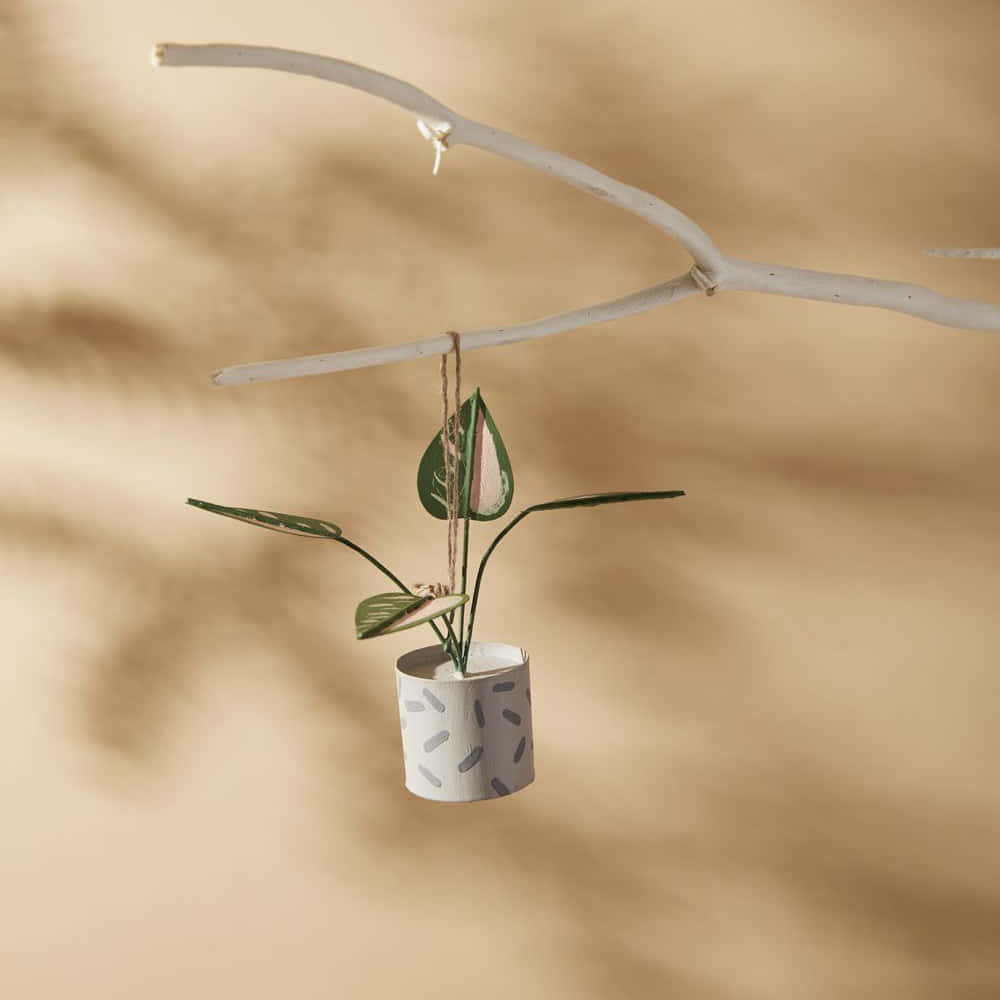 Soft Beige Plant Hanging Decor.jpg Wallpaper