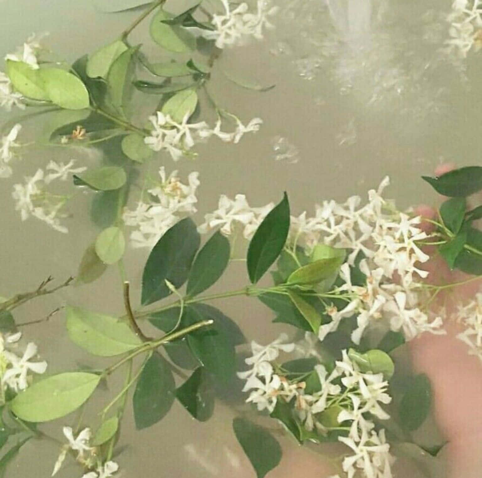 Soft Green Water Floral Aesthetic.jpg Wallpaper