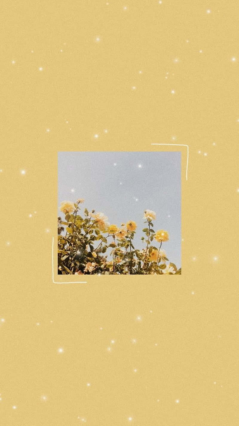 Soft_ Indie_ Yellow_ Flowers_ Sparkles_ Background.jpg Wallpaper