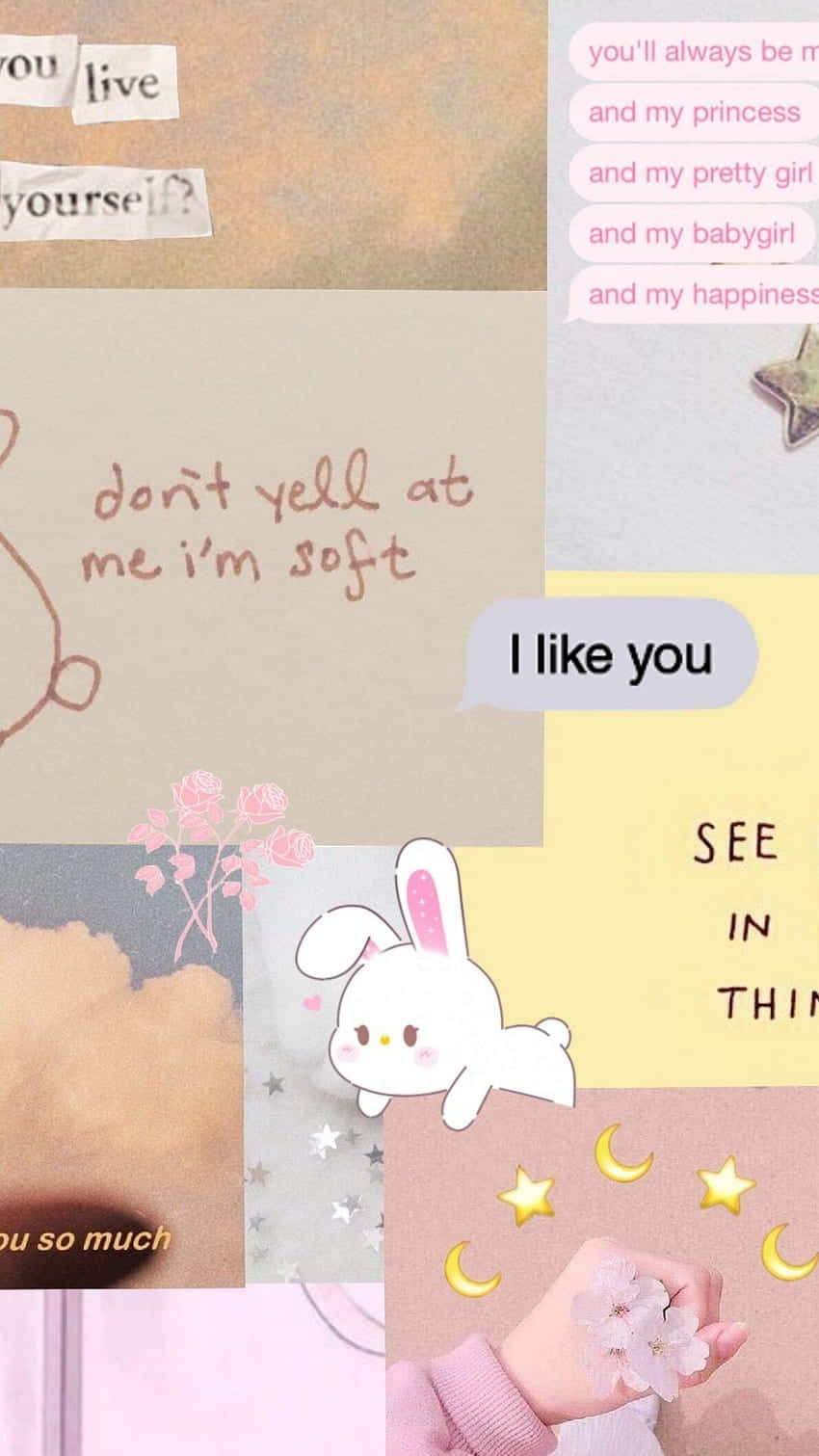 Softie_ Aesthetic_ Collage Wallpaper