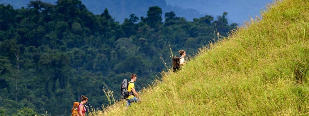 Solomon Islands Mountain Climbing Wallpaper