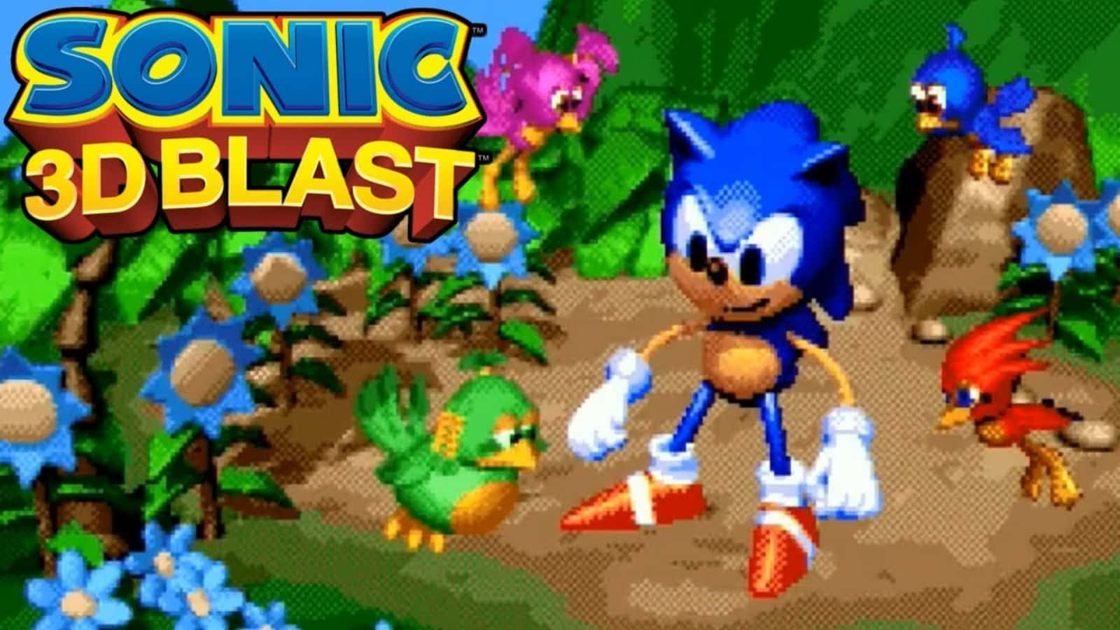 Sonic 3d Blast Game Action Shot Wallpaper