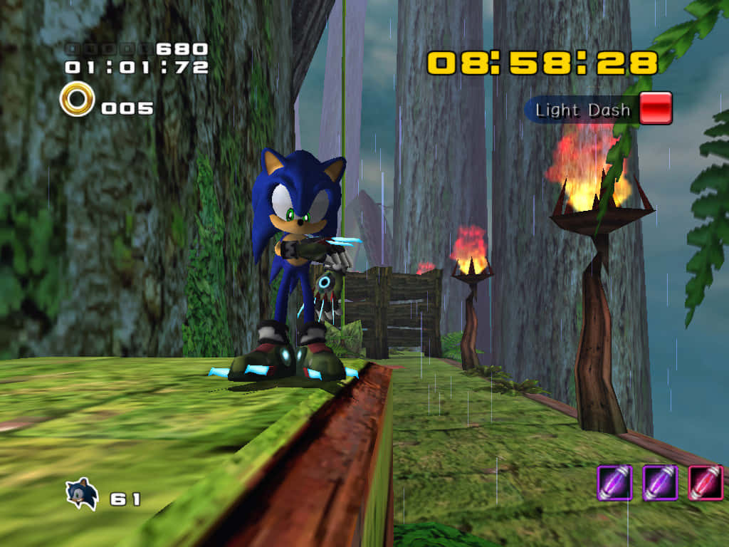 Sonic Adventure Green Forest Level Wallpaper