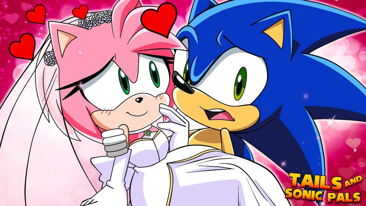 Sonic And Amy's Adventure Wallpaper