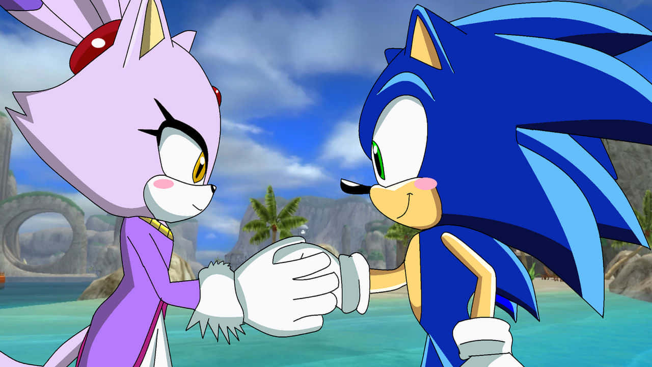 Sonic And Blaze In Action Wallpaper