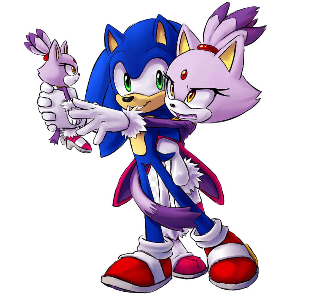 Sonic And Blaze In Action Wallpaper