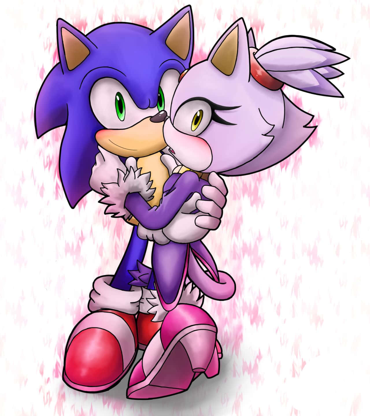 Sonic And Blaze: Partners In Adventure Wallpaper