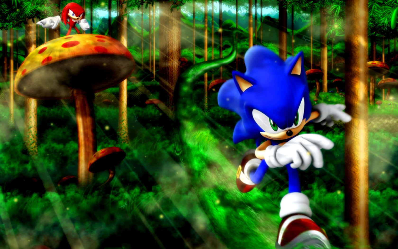 Sonic And Knuckles In Action Wallpaper