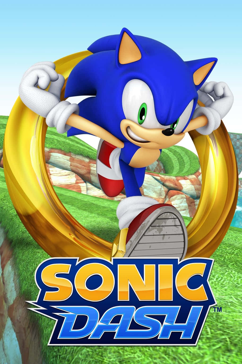 Sonic Dash In Action Wallpaper