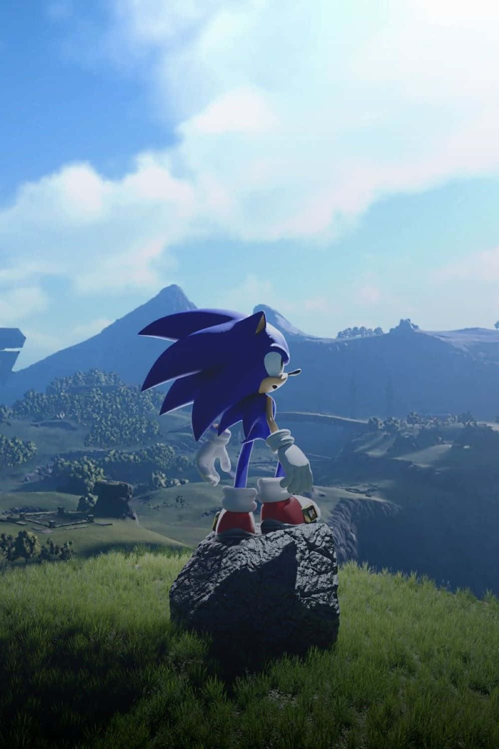 Sonic Overlooking Open World Wallpaper