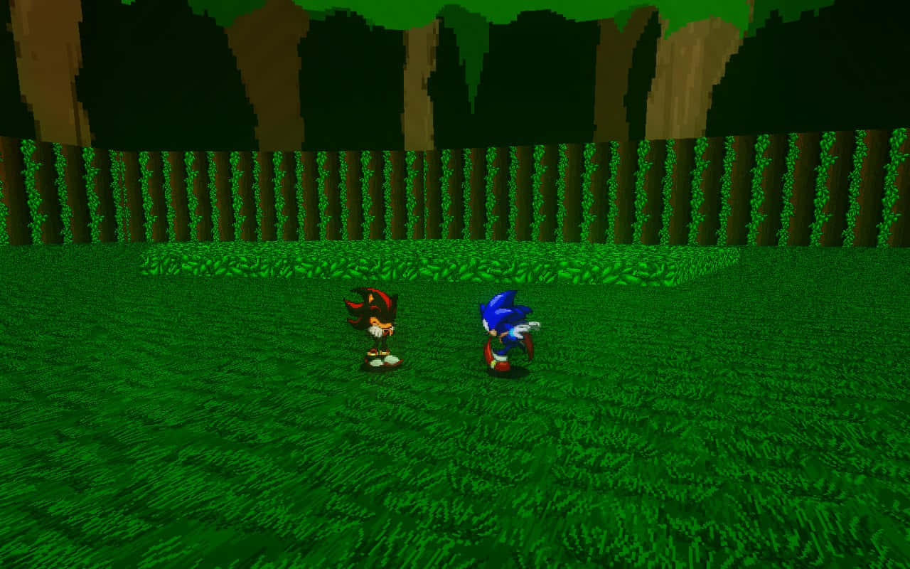 Sonicand Shadow Green Forest Scene Wallpaper