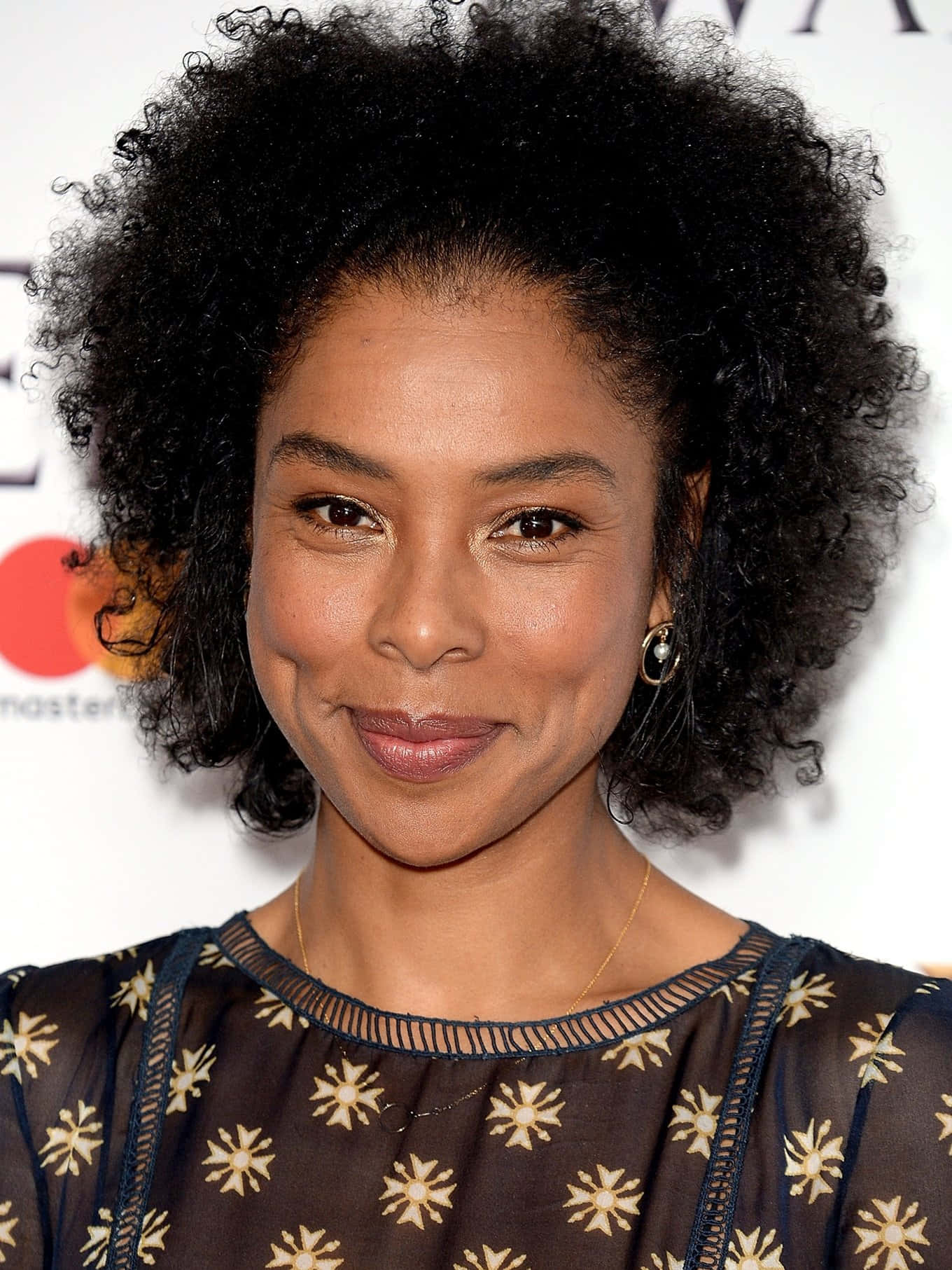 Sophie Okonedo At A Public Event Wallpaper