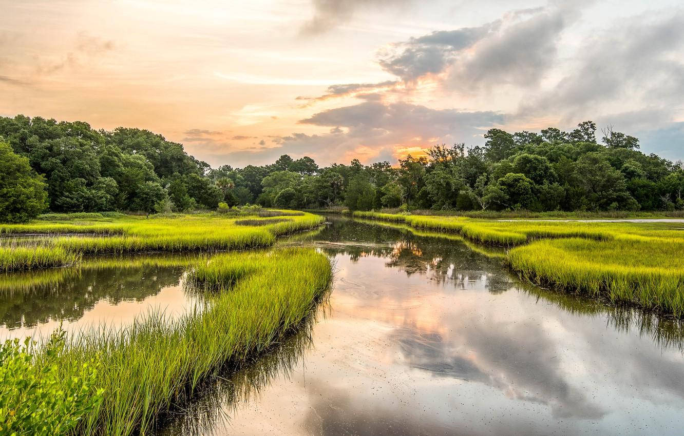 South Carolina Plantation Wallpaper