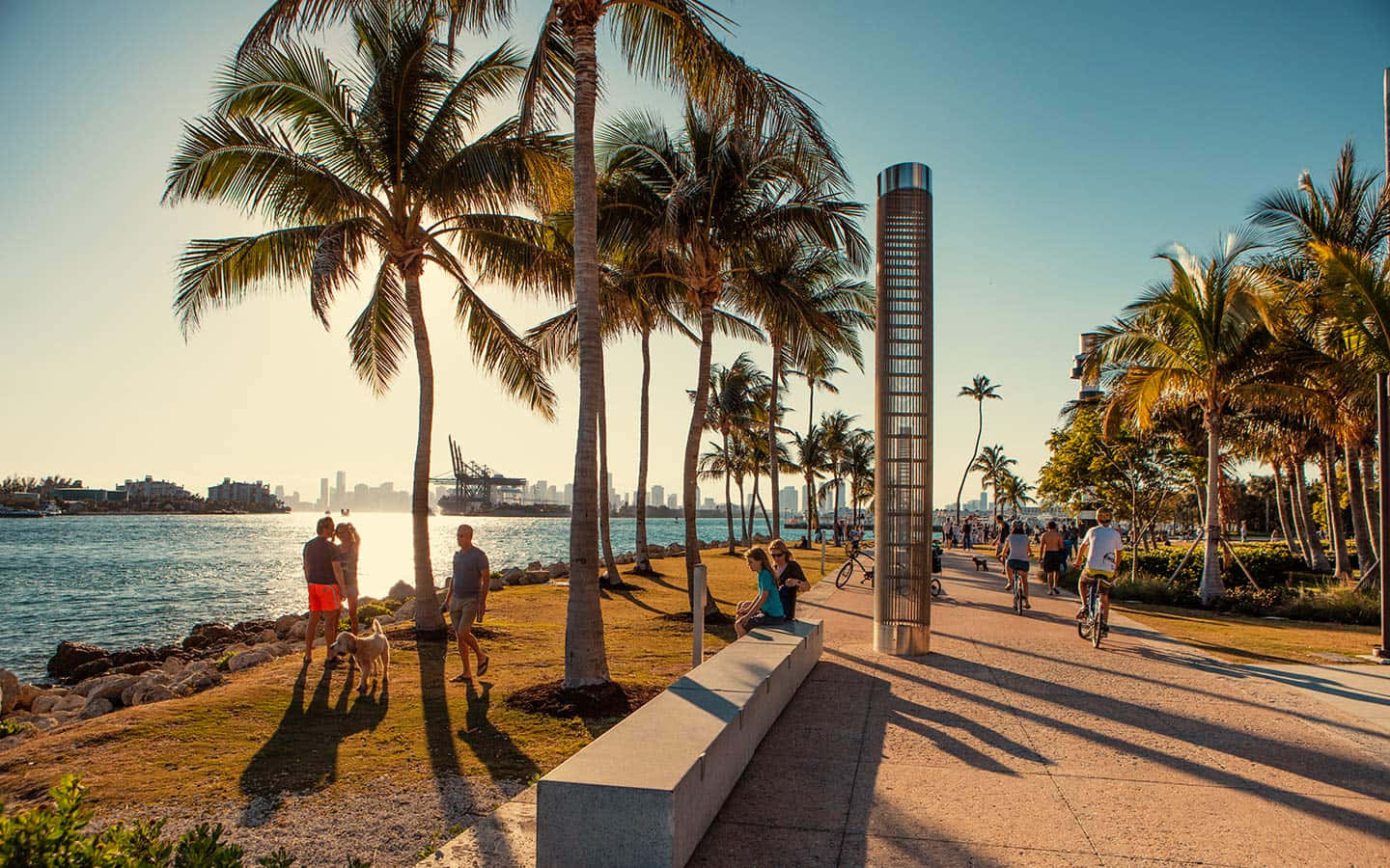 South Florida Waterfront Park Activity Wallpaper