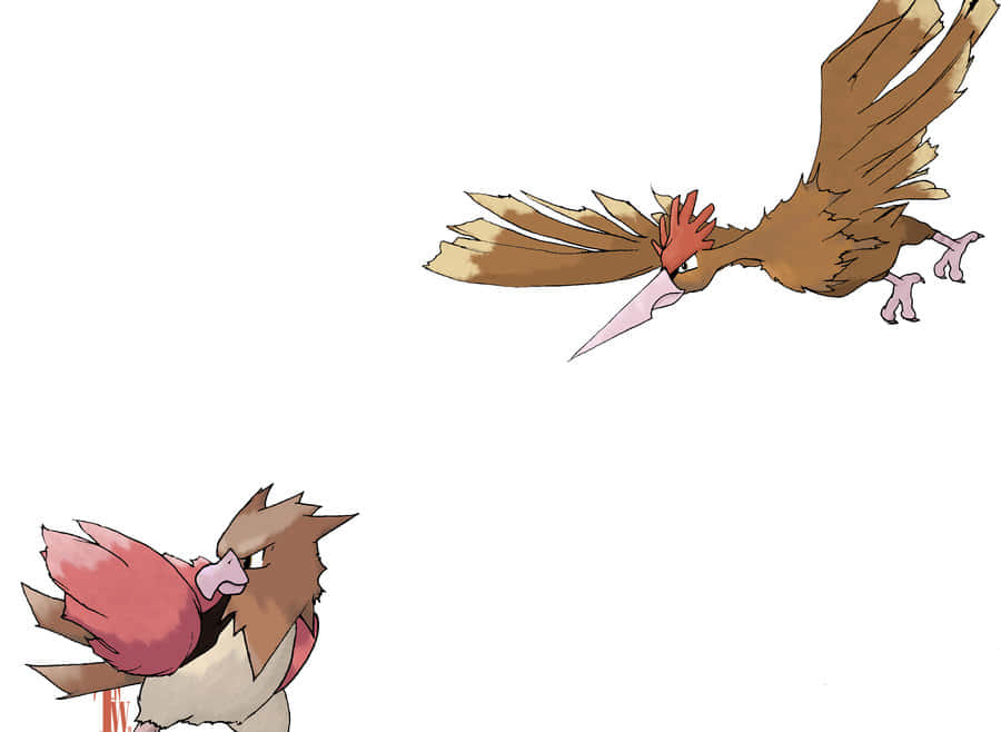 Spearow And Fearow Plain White Wallpaper