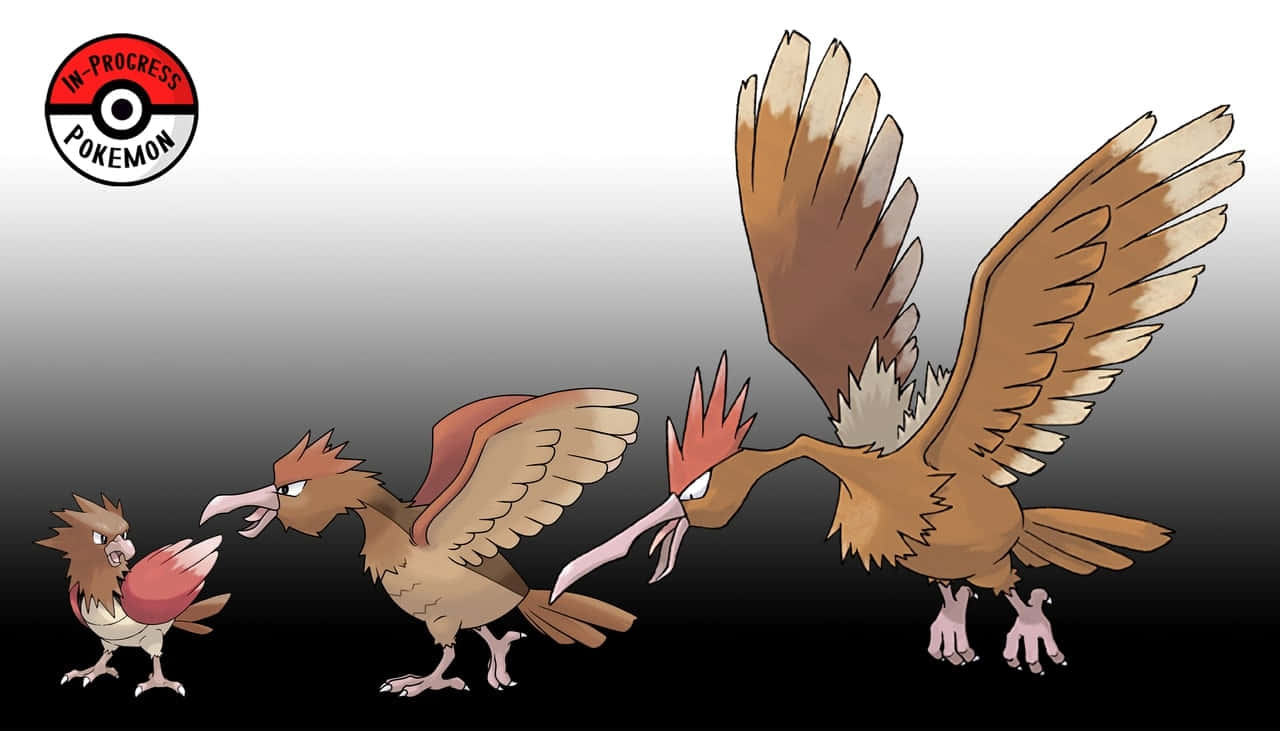 Spearow Pokemon Evolution Wallpaper